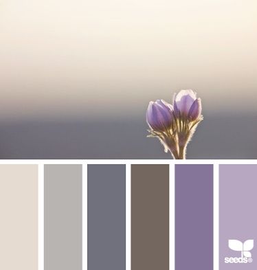 Club de la novia morada - 8