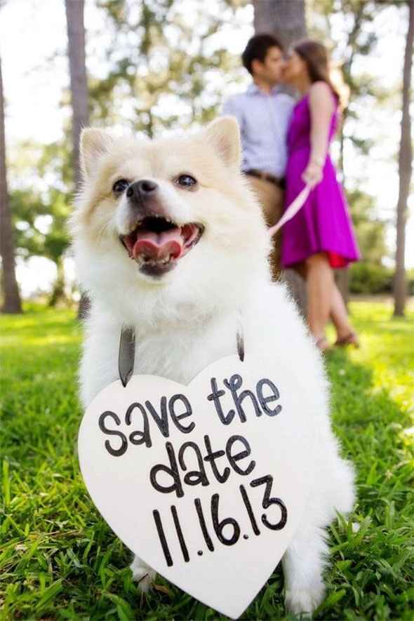 Idea para el Save the date!