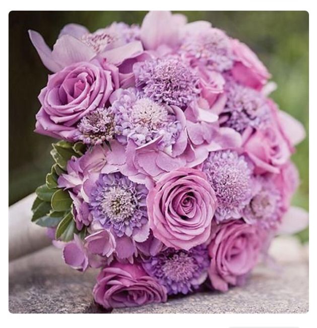 Que ramo elegir?? - 2