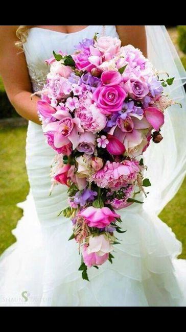 Que ramo elegir?? - 5