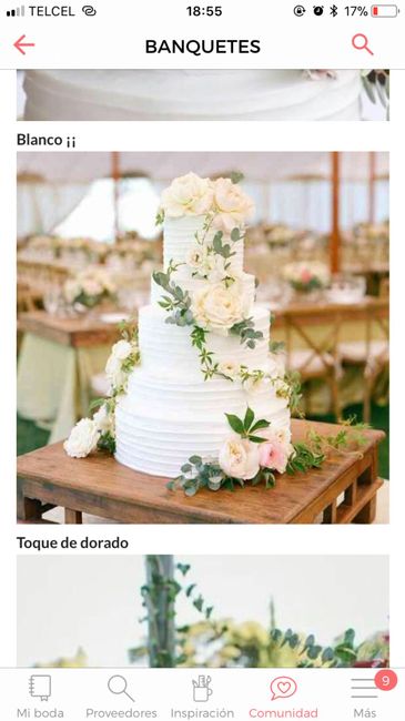 Mi archivo nupcial 3