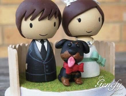Boda pet lovers! - 3
