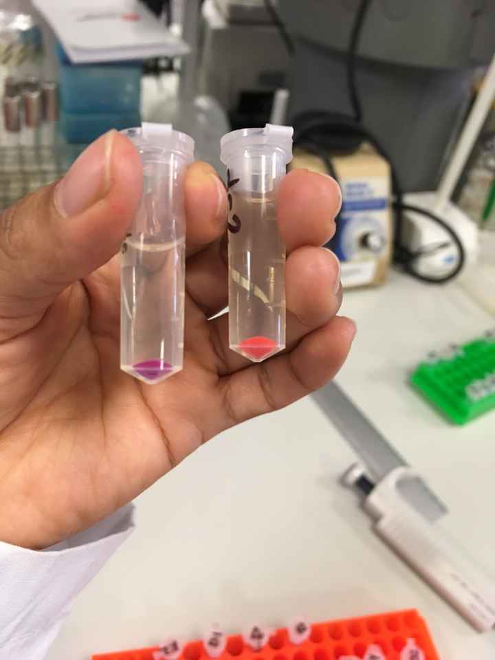  Novias: ¿En qué trabajan? - 1