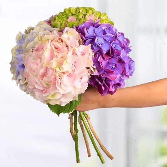 Ramos con hortensias 15