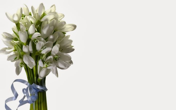 Ramos con campanilla 4