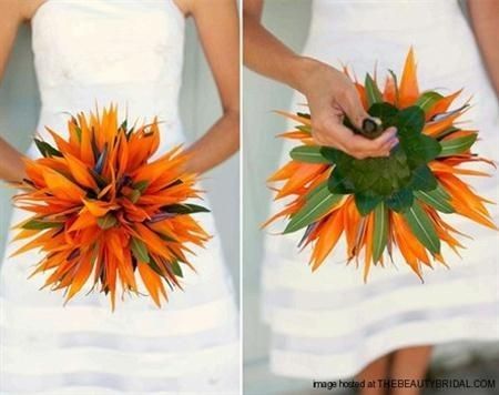 Ramos tropicales parte 2 6