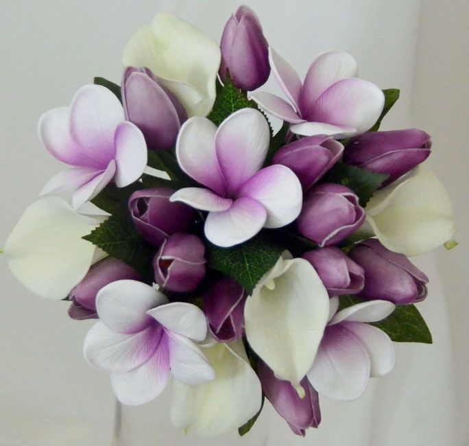 Ramos tropicales parte 2 8