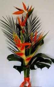 Ramos tropicales parte 2 10