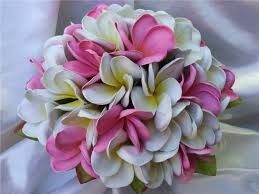 Ramos tropicales parte 2 11