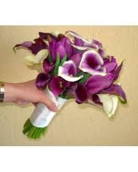 Ramos tropicales parte 2 12