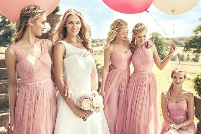 Rosa palo para tus damas 4