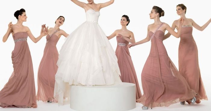 Rosa palo para tus damas 20