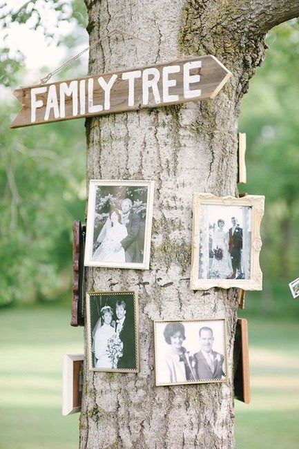 Bodas country 9