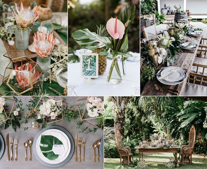 Boda tropical 14