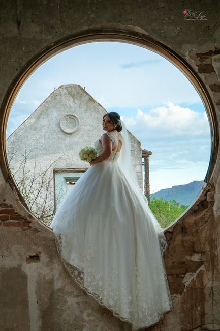 Vestido corte Princesa 1