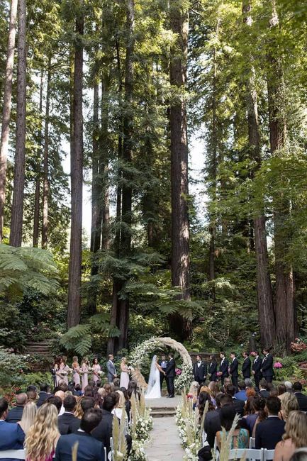 Bodas con naturaleza - 9