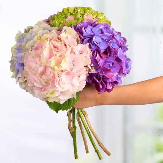 Ramos con hortensias - 15