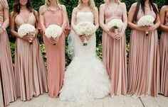 Rosa palo para tus damas - 11