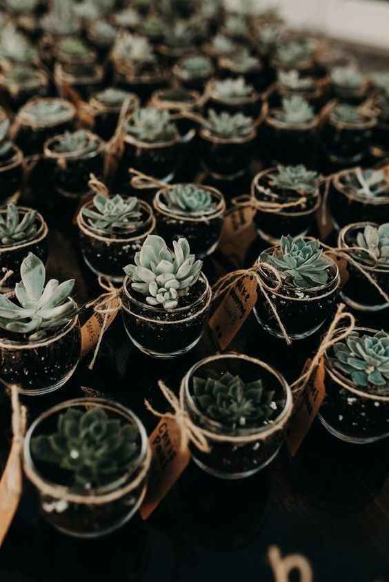 Recuerditos.. - 29