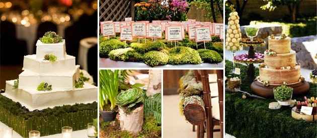 Bodas ecologicas? - 16