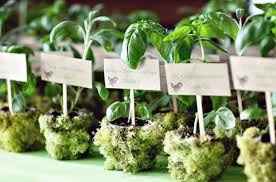 Bodas ecologicas? - 19