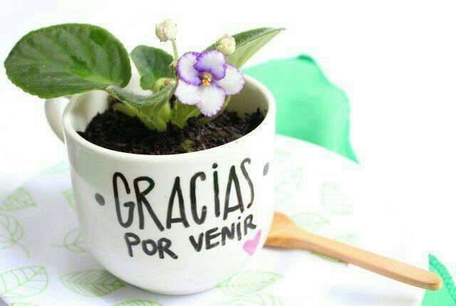Recuerditos para invitados 🌻 - 7