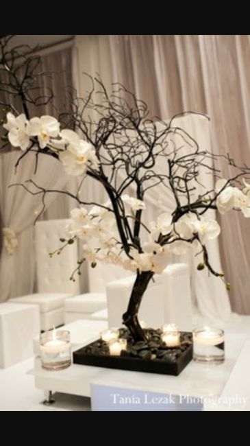 Ayuda para decorar salon - 4