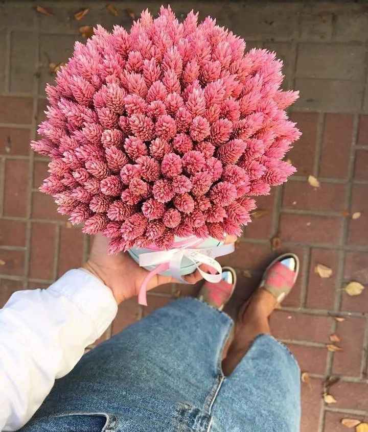 Los usarían? 💐 - 4