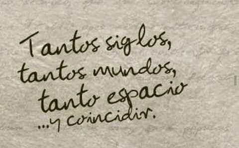 Que frase le dedicarías a tu pareja? - 5