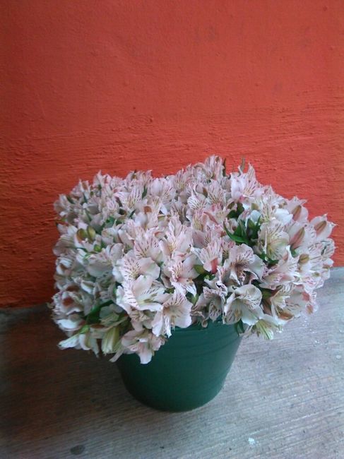 Boda doble, ya empezamos - 6