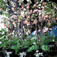 mis adornos de centros de mesa