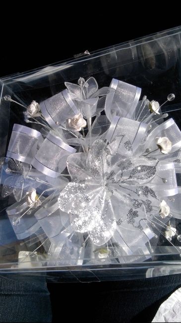 Mas avances a 10 dias - 1