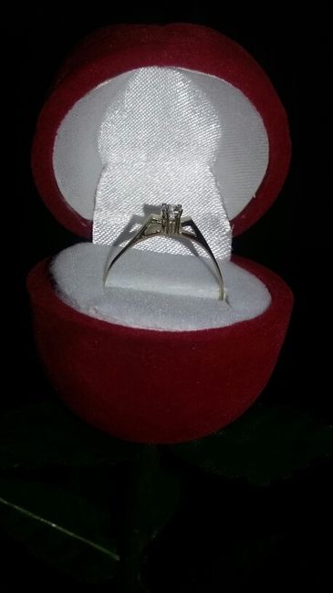 Anillos pequeños - 1