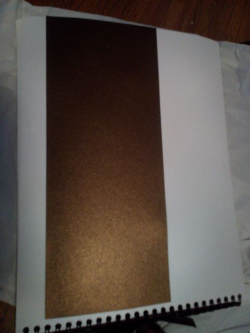 Aj: nuestro álbum de firmas diy - 13