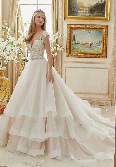 ¿cuanto gastaron en su vestido? 6