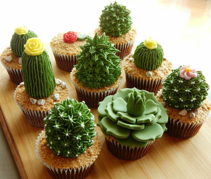 Cupcakes con suculentas 8