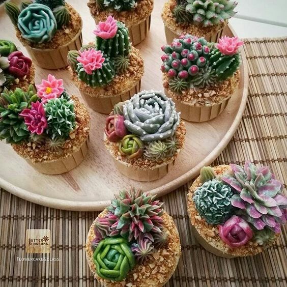 Cupcakes con suculentas 11
