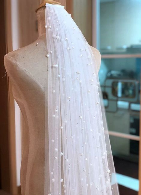 Tendencia en velo 2020 5