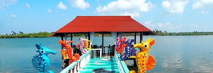 Luna de Miel : Tabasco 2