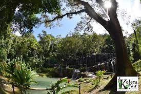 Luna de Miel : Tabasco 8