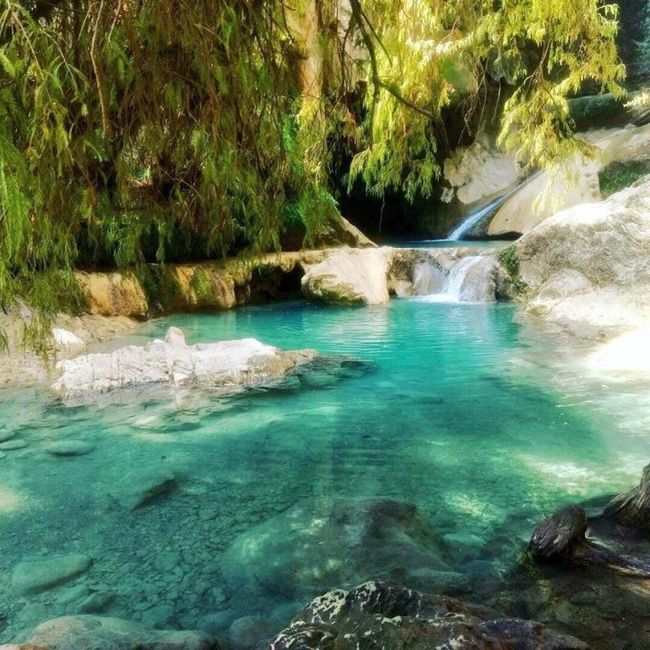 Luna de Miel : Guerrero 2