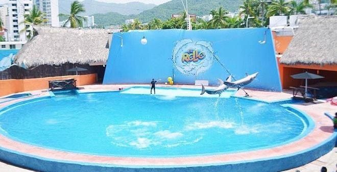 Luna de Miel : Guerrero 15