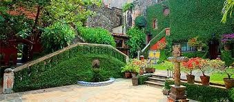 Luna de Miel : Morelos 16