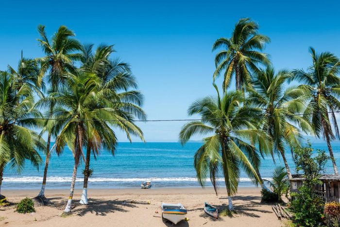 Luna de Miel : Colima 16