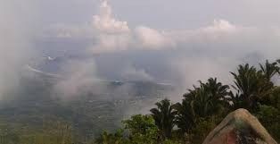 Luna de Miel : Colima 20