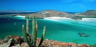 Luna de Miel : Baja California Sur 7