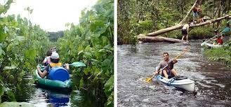 Luna de Miel : Guyana Francesa 11