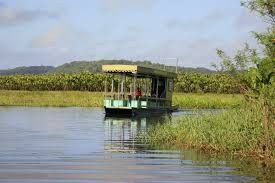 Luna de Miel : Guyana Francesa 12