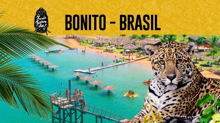 Luna de Miel : Brasil 9