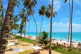 Luna de Miel : Brasil 11